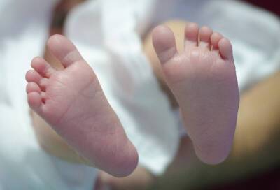 В 2021 году в Сосновом Бору родились 548 малышей - online47.ru - Сосновый Бор