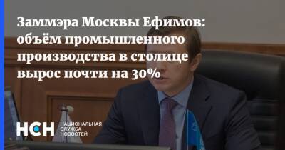 Заммэра Москвы Ефимов: объём промышленного производства в столице вырос почти на 30%