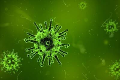 В Пензенской области от коронавируса за день умерли 7 человек