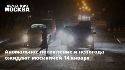 Аномальное потепление и непогода ожидают москвичей 14 января