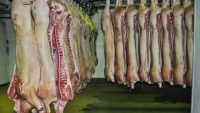 Россия приостановила импорт мяса и молока из Казахстана после вспышки опасной болезни