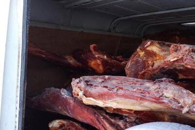 В Кургане задержали две тонны говядины без документов