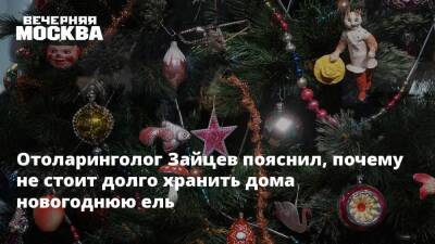 Отоларинголог Зайцев пояснил, почему не стоит долго хранить дома новогоднюю ель
