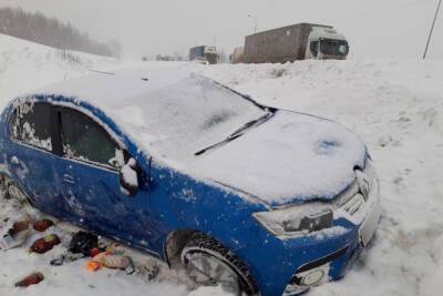В Шацком районе Renault улетел в кювет, пострадал 42-летний пассажир