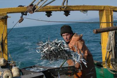 Объем добычи рыбы в Дагестане за год вырос на 40%