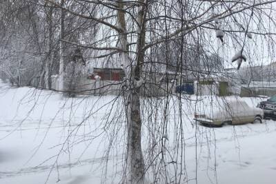 Температурные качели с перепадом в 20 градусов начались в Смоленской области