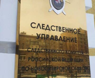 В Новосибирске СК начал проверку после избиения школьницы