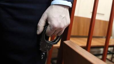 В ГД рассчитывают принять закон о пожизненном сроке для педофилов до 1 февраля