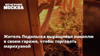 Житель Подольска выращивал коноплю в своем гараже, чтобы торговать марихуаной