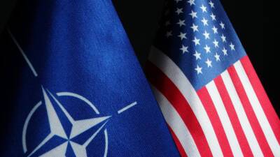 Американист Рогулёв оценил статью польского автора о намерениях США по ситуации с Украиной