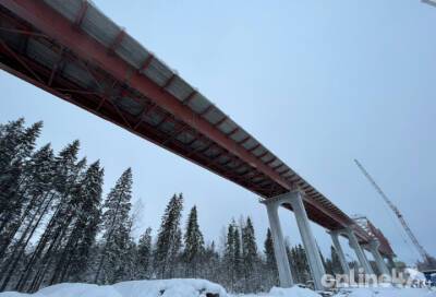 В Подпорожье рядом с мостом-гигантом планируют строительство трассы на Петрозаводск