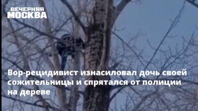 Вор-рецидивист изнасиловал дочь своей сожительницы и спрятался от полиции на дереве