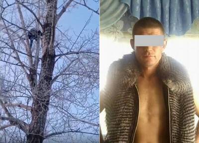Житель Омска надругался над 15-летней падчерицей и попытался спрятаться на дереве