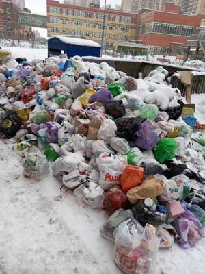 Петербургский мусорный оператор сообщил, что в городе остались только 4 проблемных района
