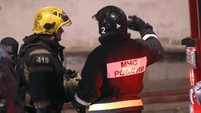 В пожарах на новогодние праздники в России погибло 370 человек