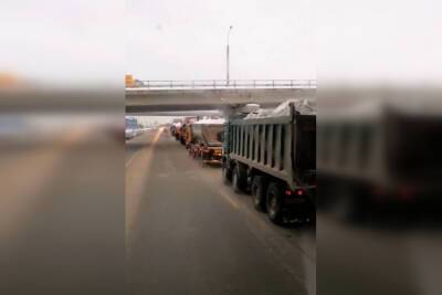 Более 40 грузовиков в очереди: перевозчик снега объяснил причину зимнего коллапса в Петербурге