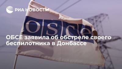ОБСЕ заявила об обстреле своего беспилотника у подконтрольного Киеву села Чермалык