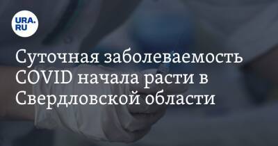 Суточная заболеваемость COVID начала расти в Свердловской области