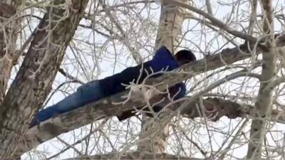Подозреваемый в изнасиловании 15-летней девочки в Омске прятался на дереве