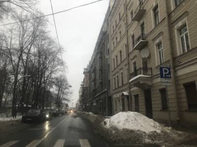 Старый Новый год Петербург встретит штормовым ветром и дождем