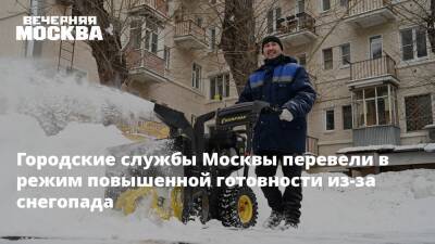 Городские службы Москвы перевели в режим повышенной готовности из-за снегопада