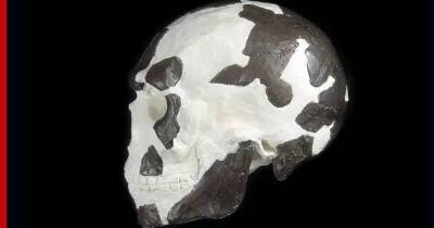 Ученые установили возраст древнейших останков человека современного вида