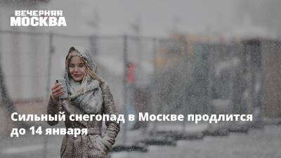 Сильный снегопад в Москве продлится до 14 января