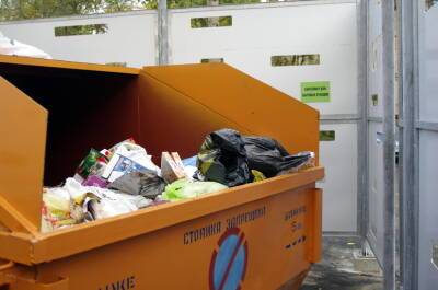 Сотрудник Невского экологического оператора» выкинул пакет мусора на припаркованное авто