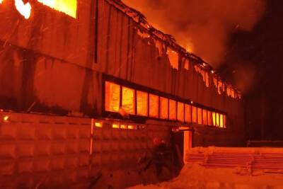 В Суздальском районе сгорела пилорама