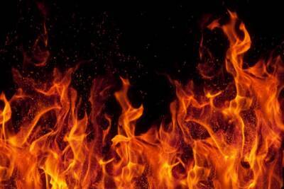 В Киеве на заводе загорелся грузовик: водитель получил многочисленные ожоги