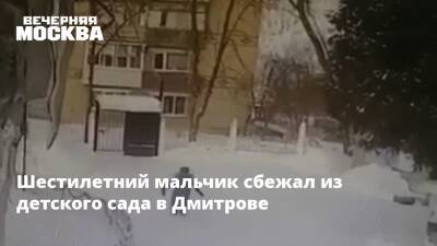 Шестилетний мальчик сбежал из детского сада в Дмитрове