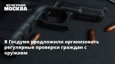 Александр Бастрыкин - Евгений Марченко - В Госдуме предложили организовать регулярные проверки граждан с оружием - vm.ru - Москва - Россия