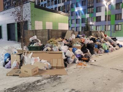 Собственники ЖК в Невском районе Петербурга полгода живут со сломанными мусорными площадками (фото)