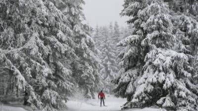 Надежда на снежные каникулы: где в Германии в ближайшие дни может выпасть снег