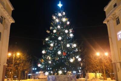 Новогоднюю елку в Кировске превратят в сувениры
