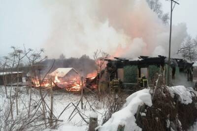 В сгоревшем доме в Тверской области нашли тело пенсионерки
