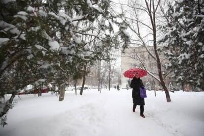 В Волгограде снег будет идти еще три дня