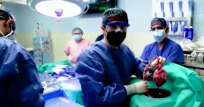 Сын пациента с пересаженным свиным сердцем назвал операцию чудом