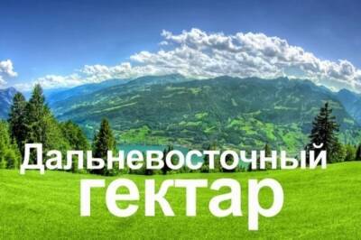 В Хабаровском крае оформить «ДВ гектар» в собственность можно за 15 минут