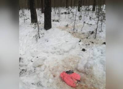 Окровавленную куртку маленького ребенка нашли в лесу под Санкт-Петербургом