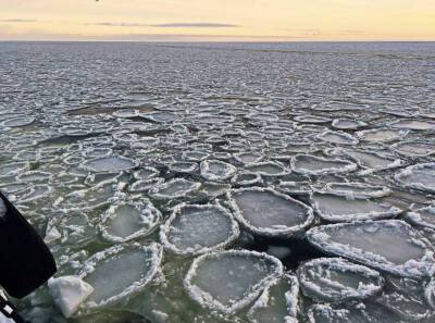 Фото: в Усть-Луге Финский залив «напек» ледяных блинчиков