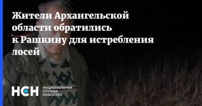 Жители Архангельской области обратились к Рашкину для истребления лосей
