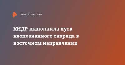 КНДР выполнила пуск неопознанного снаряда в восточном направлении - ren.tv - Южная Корея - США - КНДР - Япония