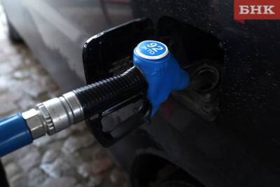 Цены на бензин в Сыктывкаре за прошлый год повышались более 30 раз