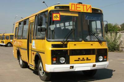 В 33 регионе станет больше школьных автобусов