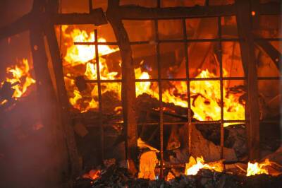 Десятки животных сгорели при пожаре на ферме под Новосибирском