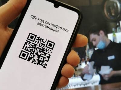 Правительство из-за «омикрона» отложило рассмотрение законопроекта о QR-кодах