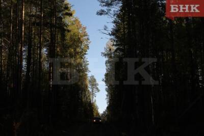 Минприроды Коми отменило конкурсы на аренду лесных участков в Прилузском районе