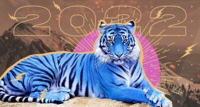 Когда наступит 2022 год Тигра и что он принесет другим знакам восточного гороскопа