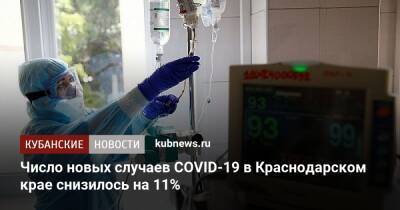 Число новых случаев COVID-19 в Краснодарском крае снизилось на 11%